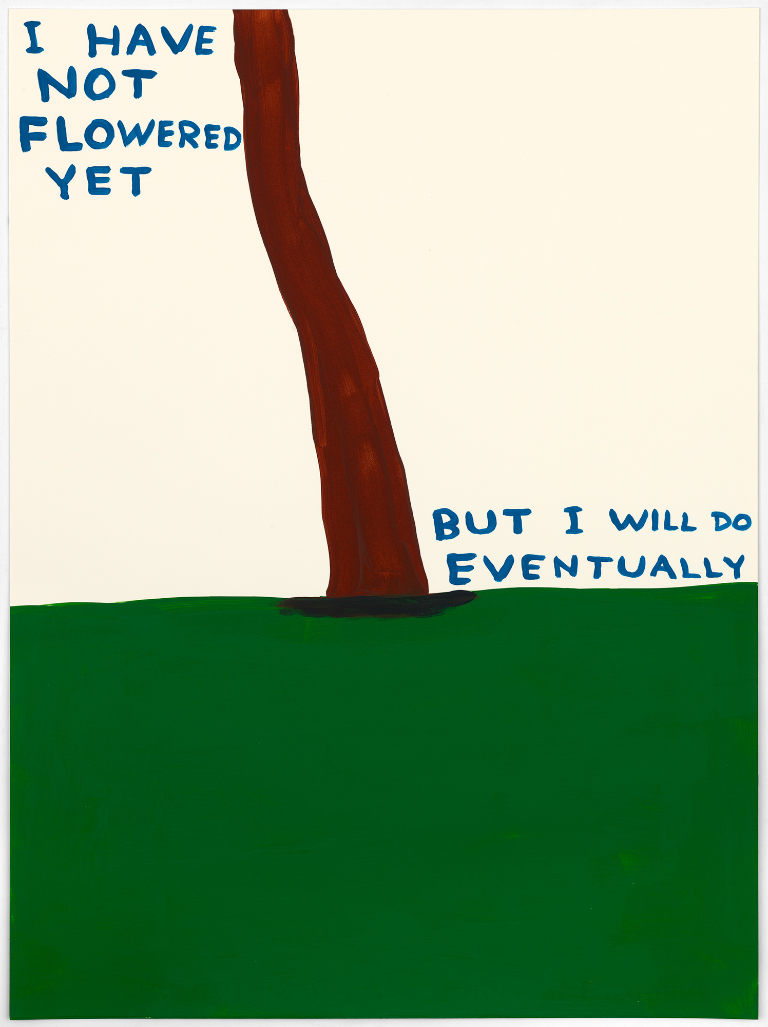 David Shrigley | Exhibitions | KYOTOGRAPHIE