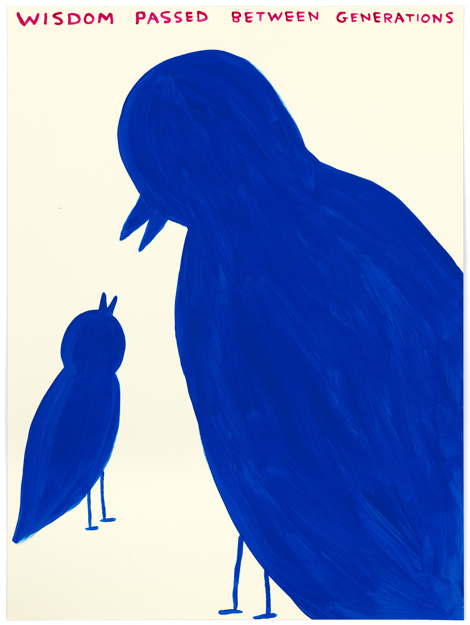 David Shrigley | Exhibitions | KYOTOGRAPHIE